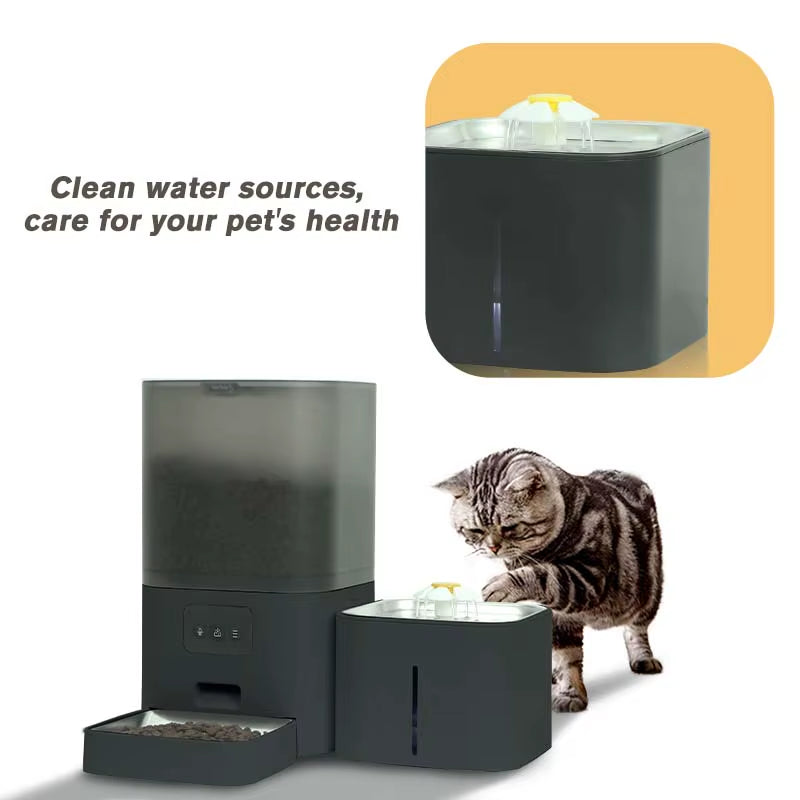 Automatic Pet Feeder