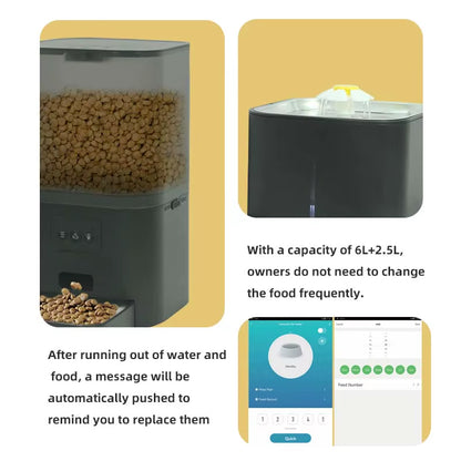 Automatic Pet Feeder