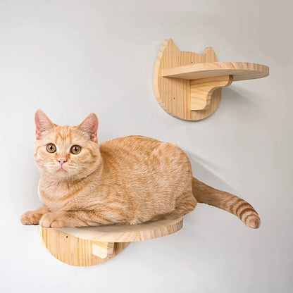 Cat Climbing Shelf Wall